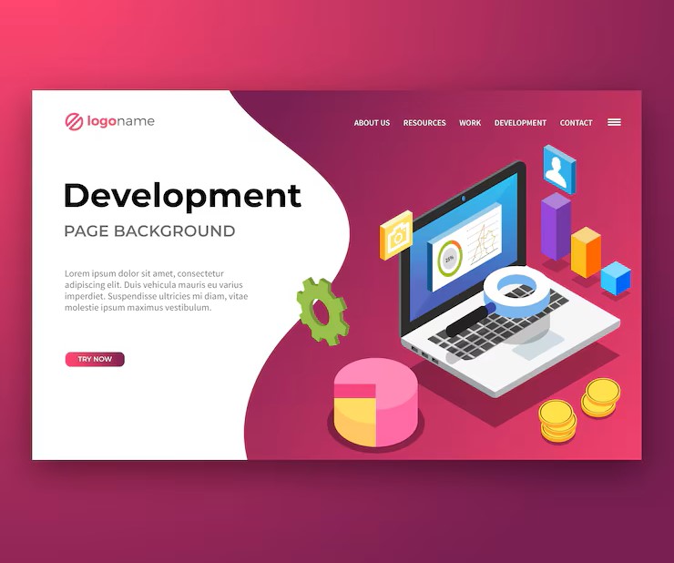 Business Website Development